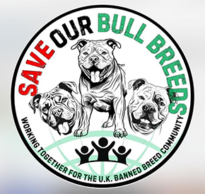 Save our Bull Breeds