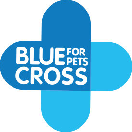 bluecross